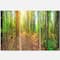 Designart - Dense Forest Panorama - Landscape Canvas Art Print